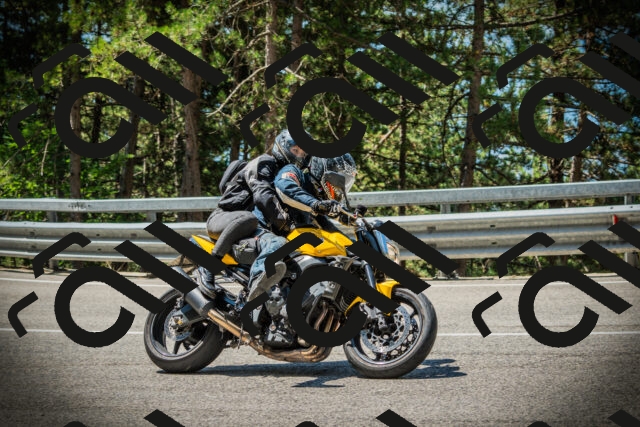 202507191137-DSC03660_c1_