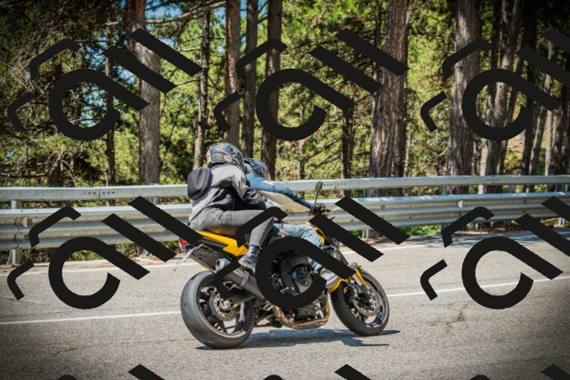 202507191137-DSC03662_c1_