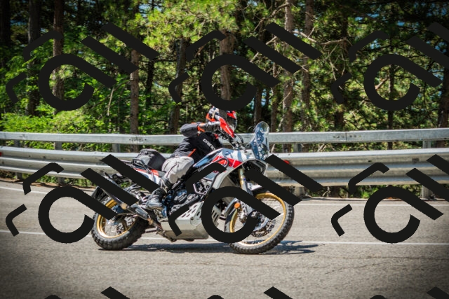 202507191138-DSC03666_c1_