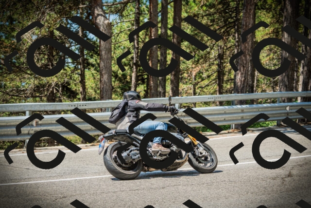 202507191138-DSC03670_c1_