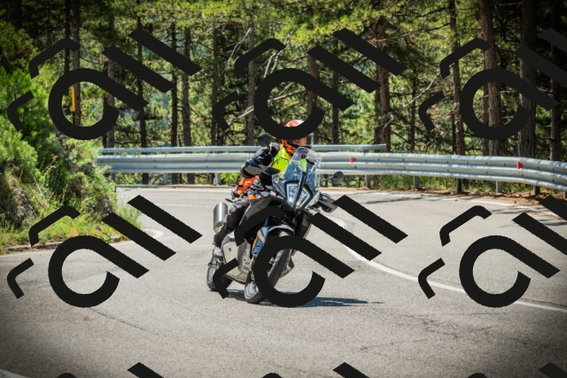 202507191138-DSC03678_c1_