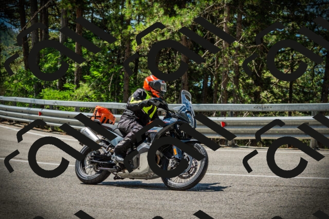 202507191138-DSC03679_c1_