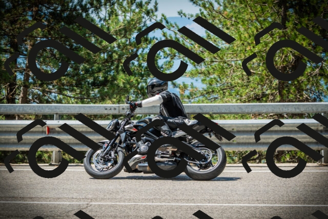 202507191138-DSC03680_c1_