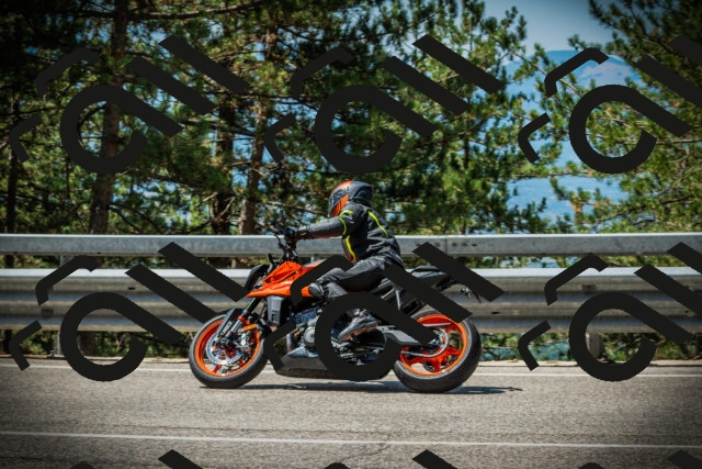 202507191138-DSC03682_c1_