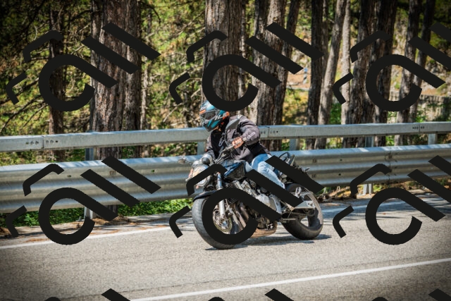 202507191140-DSC03686_c1_