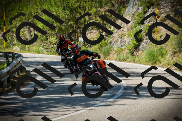 202507191141-DSC03689_c1_