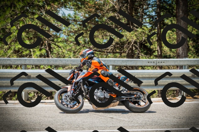 202507191141-DSC03691_c1_