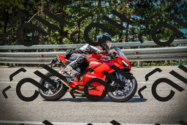 202507191141-DSC03695_c1_