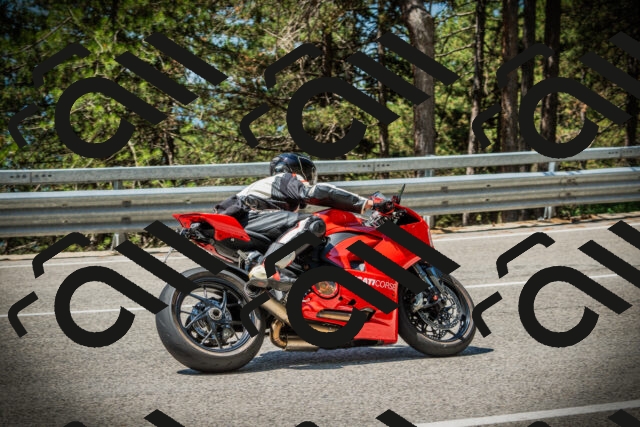 202507191141-DSC03696_c1_