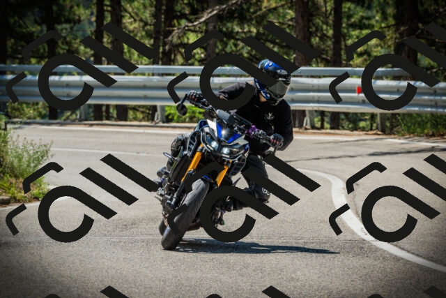 202507191143-DSC03711_c1_