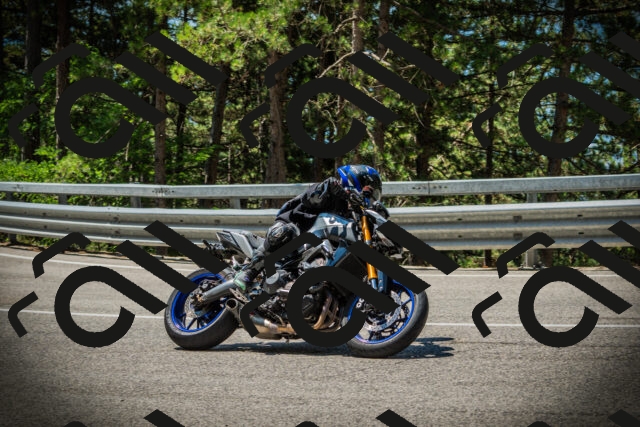 202507191143-DSC03712_c1_