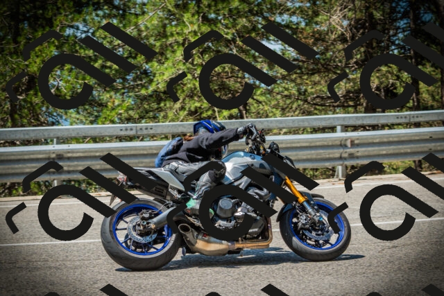 202507191143-DSC03713_c1_