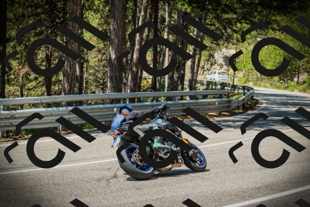 202507191143-DSC03714_c1_