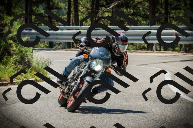 202507191143-DSC03716_c1_