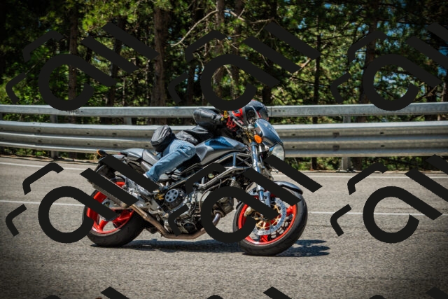 202507191143-DSC03717_c1_