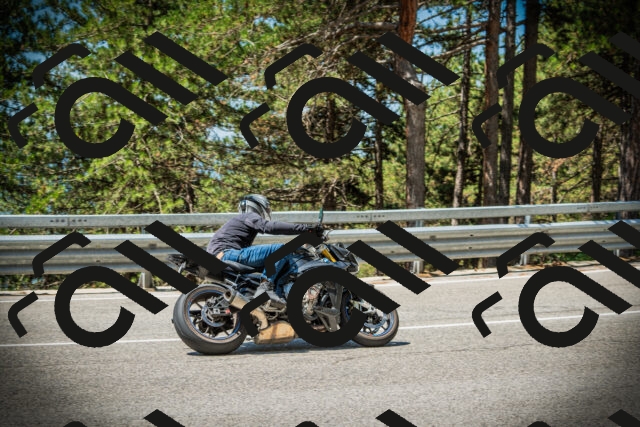 202507191143-DSC03724_c1_