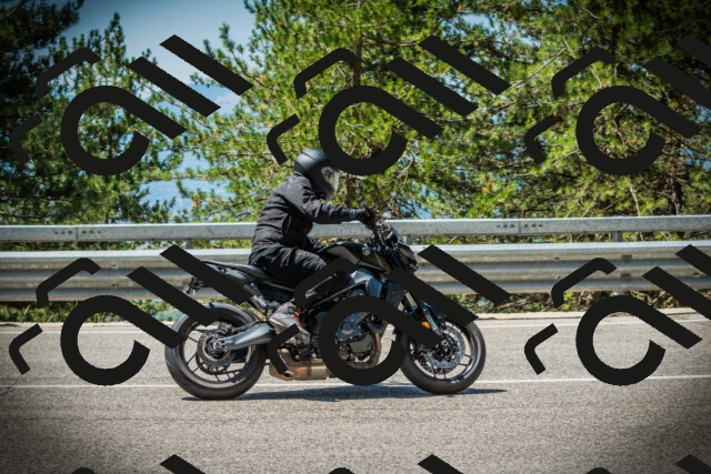 202507191143-DSC03726_c1_