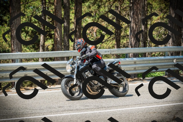 202507191144-DSC03729_c1_