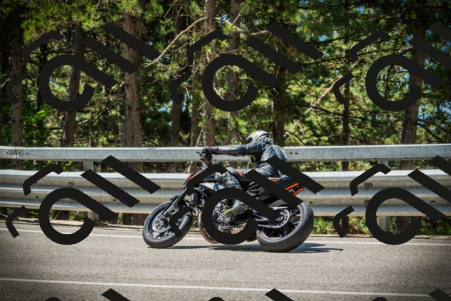 202507191145-DSC03743_c1_