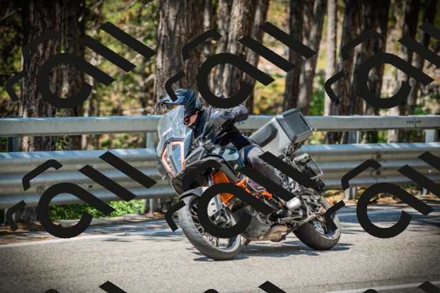 202507191146-DSC03754_c1_