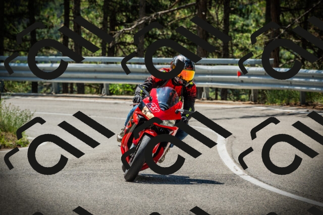 202507191146-DSC03768_c1_