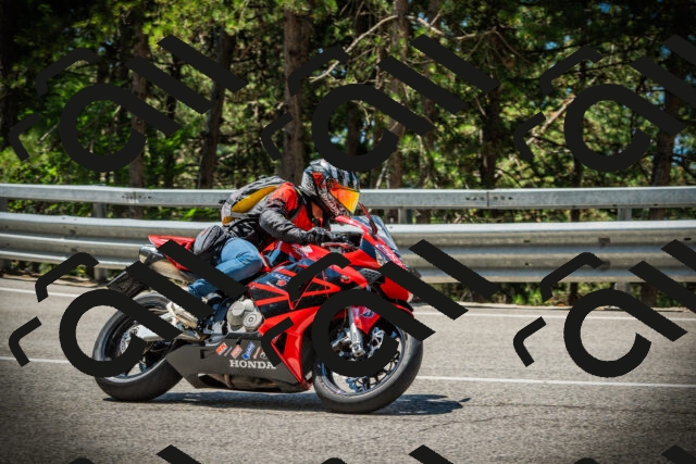 202507191146-DSC03769_c1_