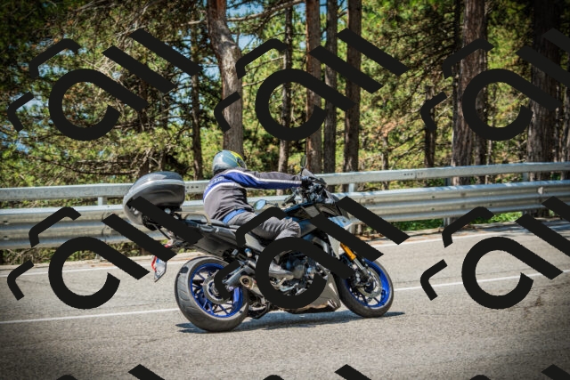 202507191147-DSC03778_c1_