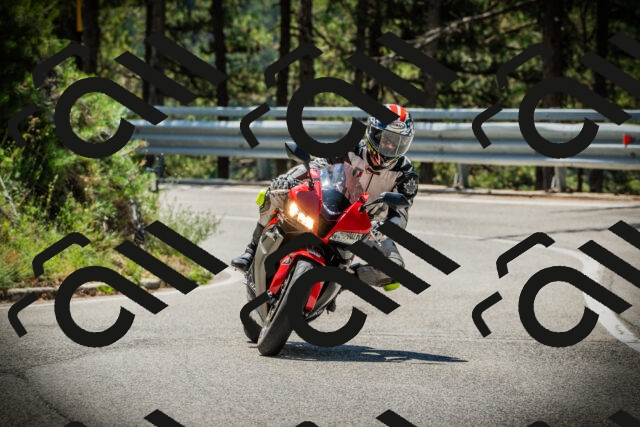 202507191150-DSC03789_c1_