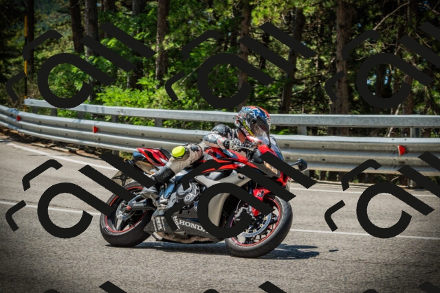 202507191150-DSC03790_c1_