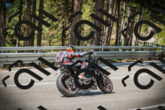 202507191150-DSC03797_c1_