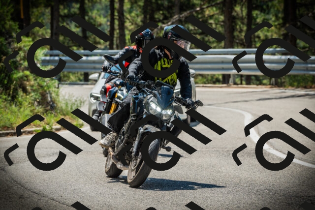 202507191153-DSC03819_c1_