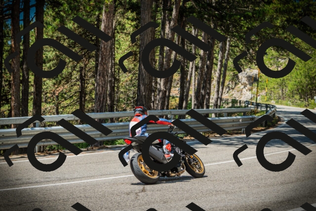 202507191153-DSC03832_c1_