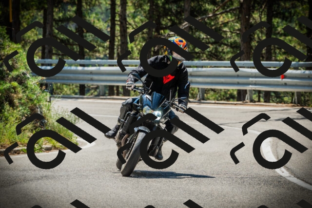 202507191153-DSC03835_c1_