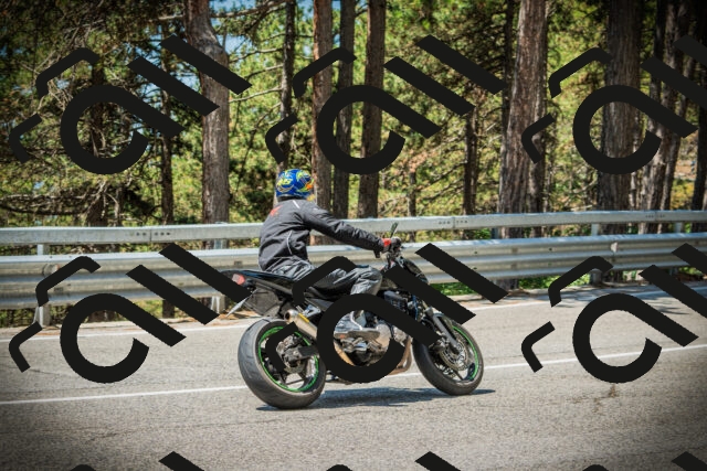 202507191153-DSC03838_c1_