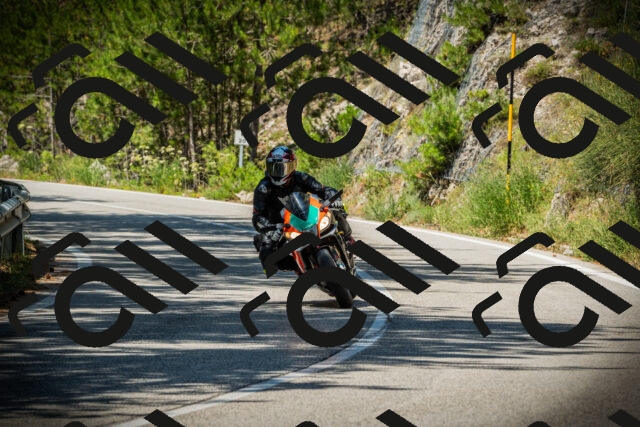 202507191155-DSC03839_c1_