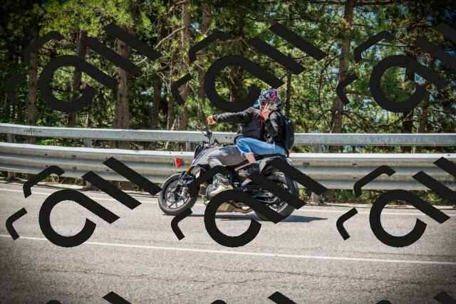 202507191155-DSC03850_c1_