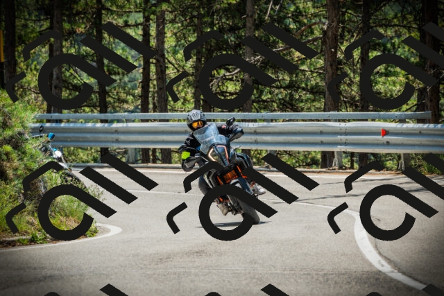 202507191155-DSC03859_c1_