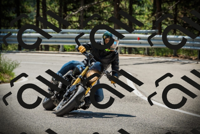 202507191156-DSC03870_c1_