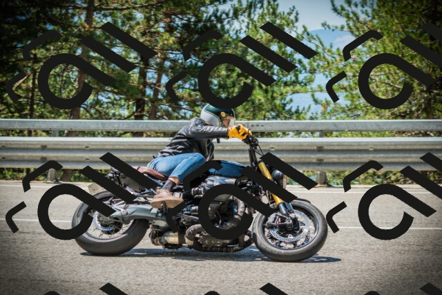 202507191156-DSC03871_c1_