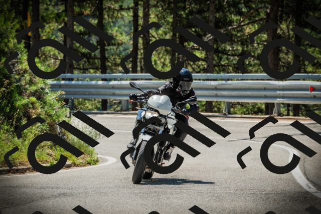 202507191156-DSC03874_c1_