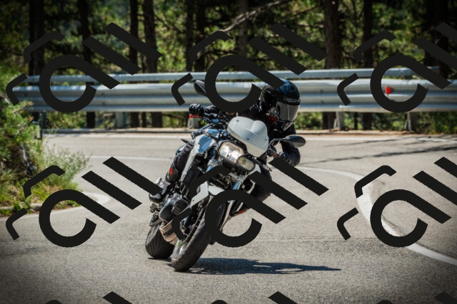 202507191156-DSC03875_c1_