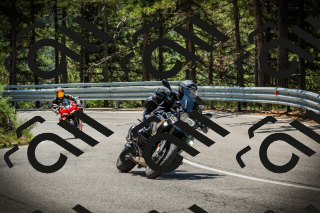 202507191158-DSC03900_c1_