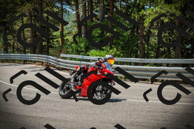 202507191158-DSC03902_c1_