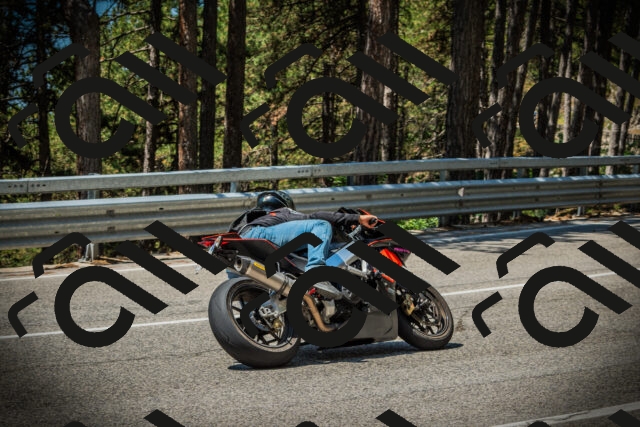 202507191158-DSC03906_c1_