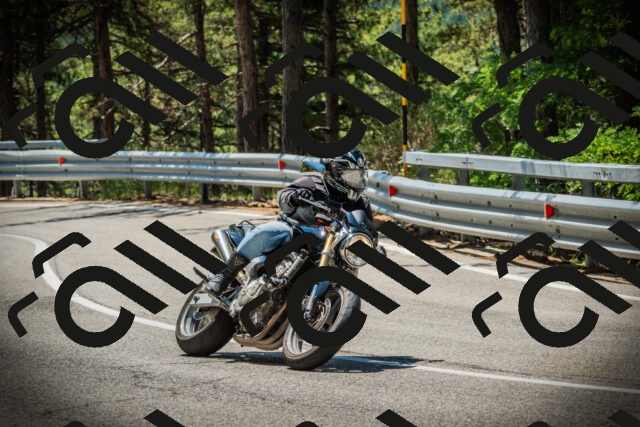 202507191158-DSC03909_c1_