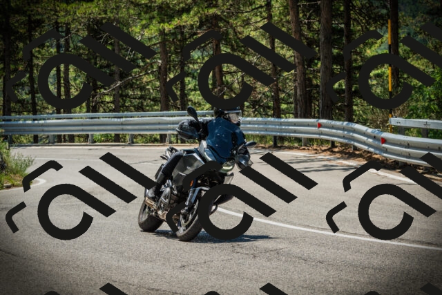 202507191200-DSC03923_c1_