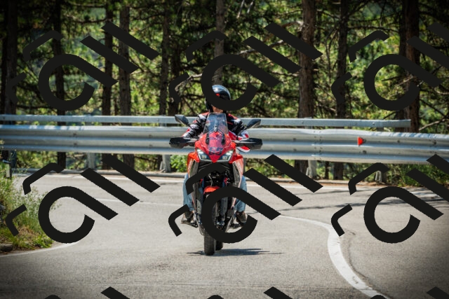 202507191200-DSC03926_c1_