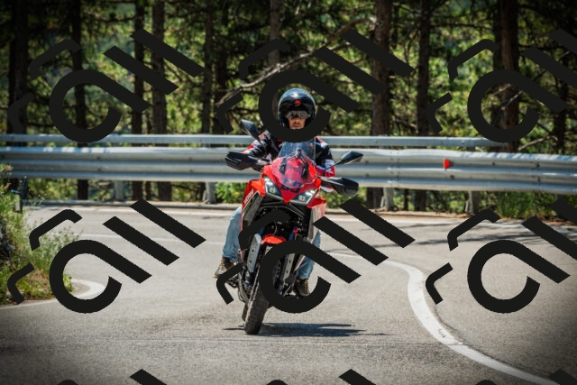 202507191200-DSC03927_c1_