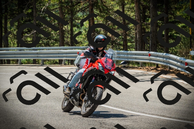 202507191200-DSC03928_c1_