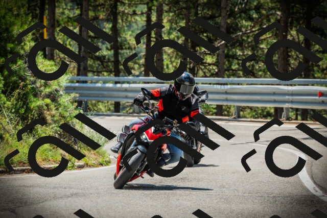 202507191200-DSC03934_c1_